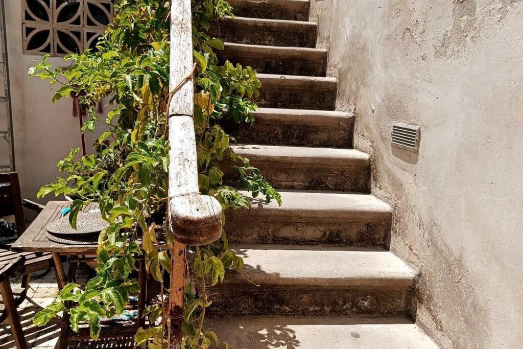 Big Big Terrace Kerem Cosy Studio Tel Aviv Dış mekan fotoğraf